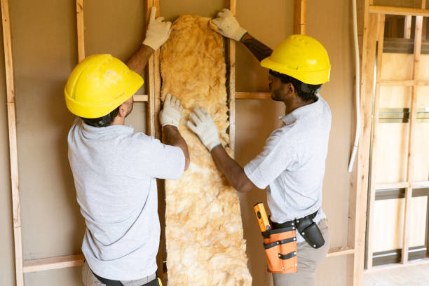 Types of Insulation We Offer in Pinecrest, FL