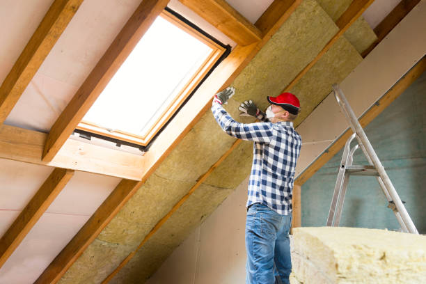 Trusted Pinecrest, FL Insulation Removal & Installation Experts