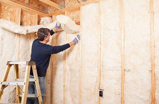 Best Basement Insulation in Pinecrest, FL