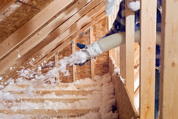 Best Wall Insulation Installation in Pinecrest, FL